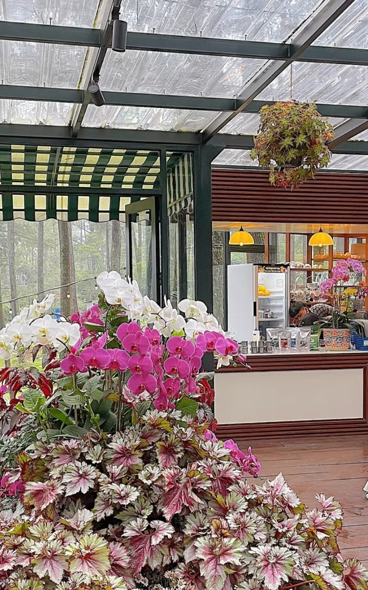 5 Kafe Bunga Bandung Instagramable: Surga Estetika & Kuliner