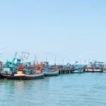 Diskon Tiket Kapal: Pemerintah Obral, Nasib Pengusaha Laut?