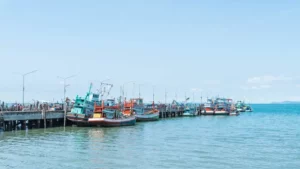 Diskon Tiket Kapal: Pemerintah Obral, Nasib Pengusaha Laut?
