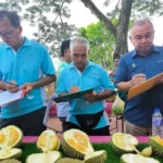 Festival Durian: Makan Sepuasnya, 1000 Porsi Menunggu Anda