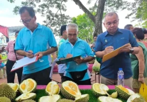 Festival Durian: Makan Sepuasnya, 1000 Porsi Menunggu Anda