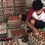 Ide Bisnis Modal Minim, Untung Maksimal di Jogja & Sekitarnya