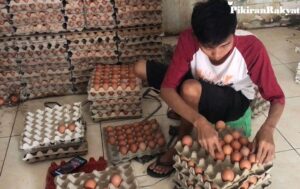 Ide Bisnis Modal Minim, Untung Maksimal di Jogja & Sekitarnya