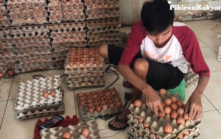 Ide Bisnis Modal Minim, Untung Maksimal di Jogja & Sekitarnya