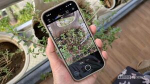 Indigo: Kamera iPhone Terbaik, Penerus Google Camera