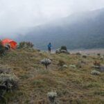 Misteri Pendaki Gunung Gede: Terungkap, Benarkah Ia Meninggal?