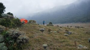 Misteri Pendaki Gunung Gede: Terungkap, Benarkah Ia Meninggal?