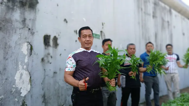 Napi Ciptakan Ketahanan Pangan: Inovasi Lapas Ciamis Sukses
