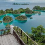 Raja Ampat Konservasi: Jokowi vs Tambang, Kapan Ditutup?