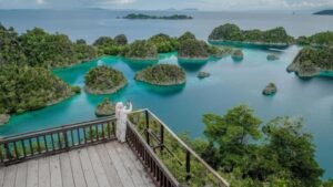 Raja Ampat Konservasi: Jokowi vs Tambang, Kapan Ditutup?