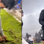 Stadion GBLA Rusak: Bobotoh & Perbaikan Rumput Gawang Persib