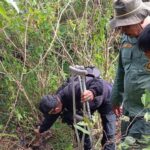 Tragedi Macan Tutul Jawa: Terjerat Kawat, Mati di Garut