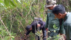 Tragedi Macan Tutul Jawa: Terjerat Kawat, Mati di Garut