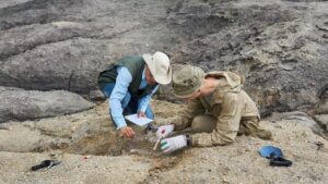 Temuan Cangkang Telur Unta Kuno, Diduga Jejak Geometri Tertua di Dunia